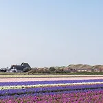 Coraal In Groote Keeten Nyaraló Callantsoog