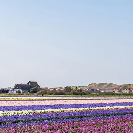 Vacation Coraal In Groote Keeten Feriehus Callantsoog