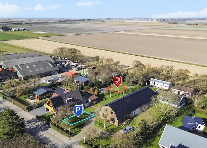 Coraal In Groote Keeten Callantsoog