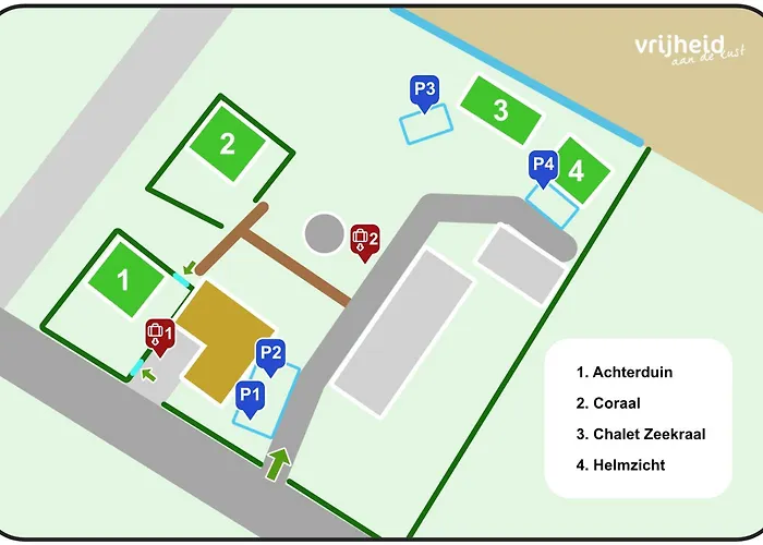 Coraal In Groote Keeten Callantsoog