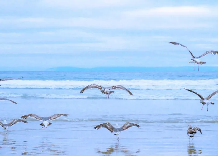 Holiday home Coraal In Groote Keeten